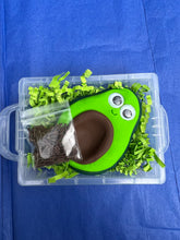 Load image into Gallery viewer, Archie the Avocado